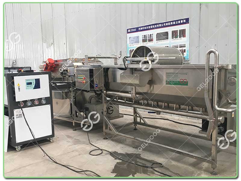 salad-processing-lines salad-processing-lines