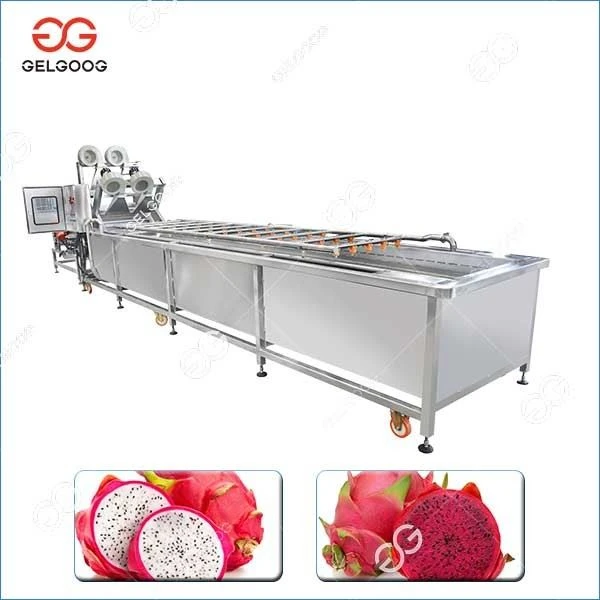 Dragon Fruit Washing Machine